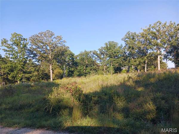 328 St. Gerard ST, Bonne Terre, MO 63628