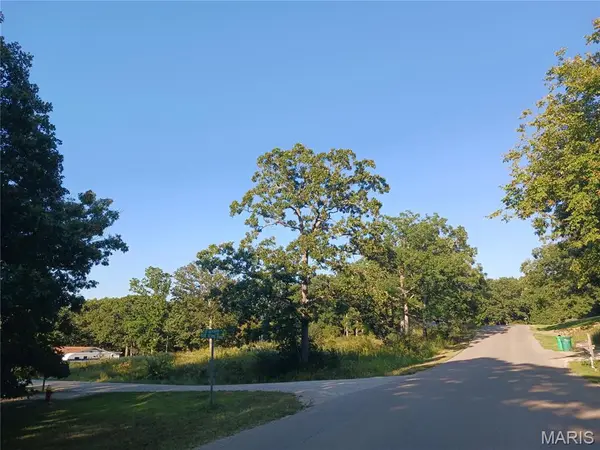 328 St. Gerard ST, Bonne Terre, MO 63628