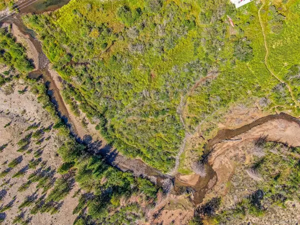 Lot 17 Singleton RD, Alma, CO 80420