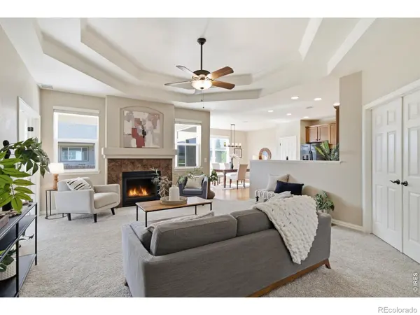 5853 Quarry ST, Timnath, CO 80547