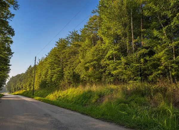 0 Three Point Rd, Tellico Plains, TN 37385