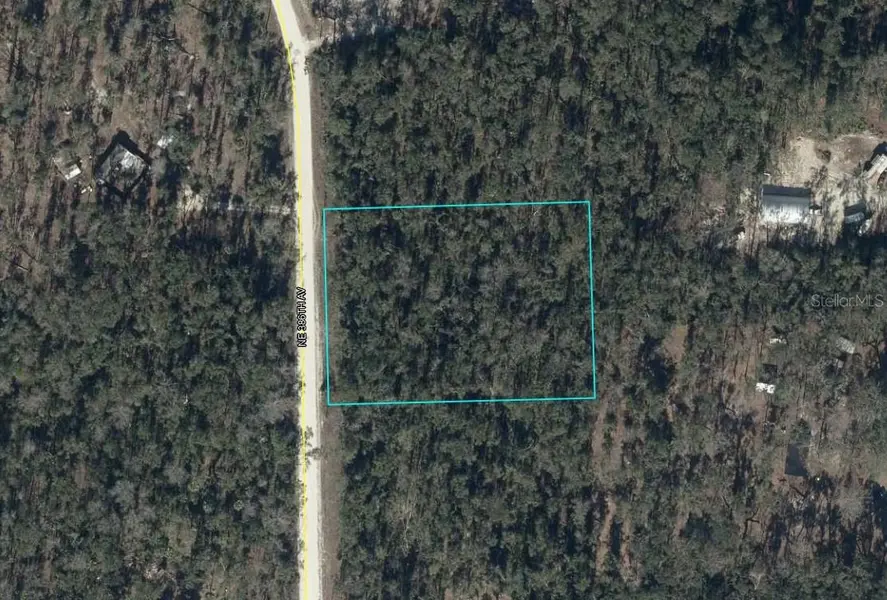 NE 386TH AVE, Old Town, FL 32680