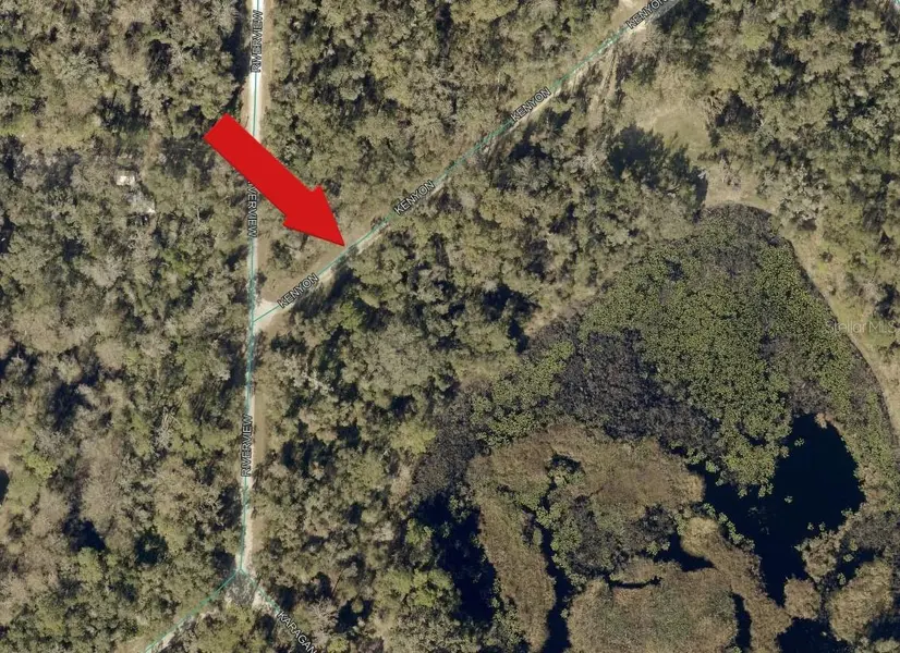 7132 KENYON DR, Webster, FL 33597