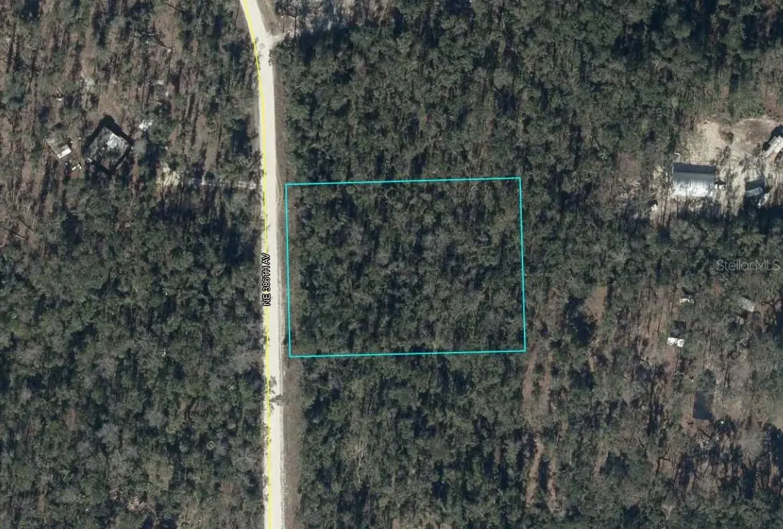NE 386TH AVE, Old Town, FL 32680