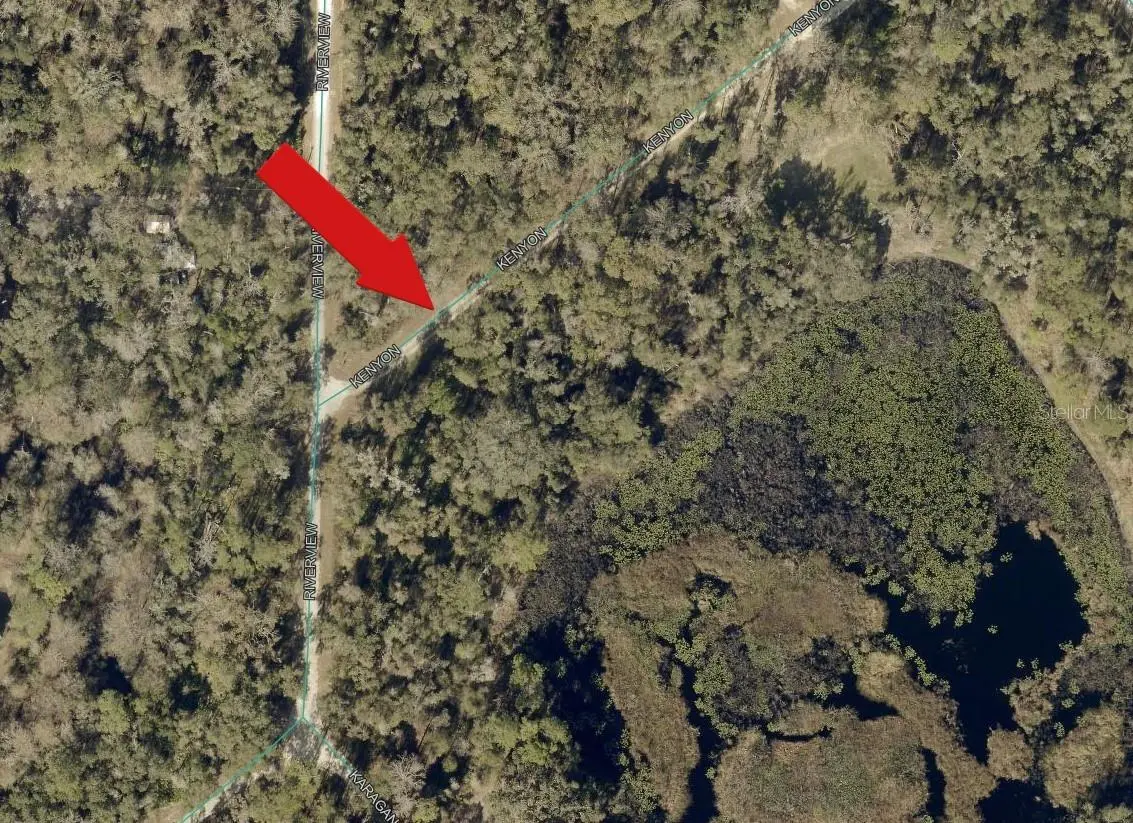 7132 KENYON DR, Webster, FL 33597