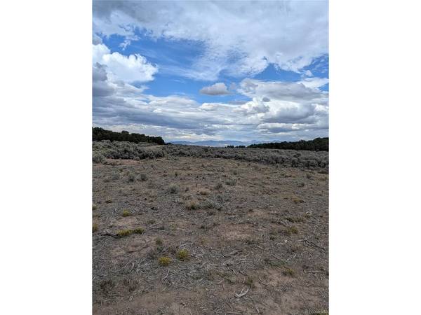 42 Big Buck Trail, San Luis, CO 81152