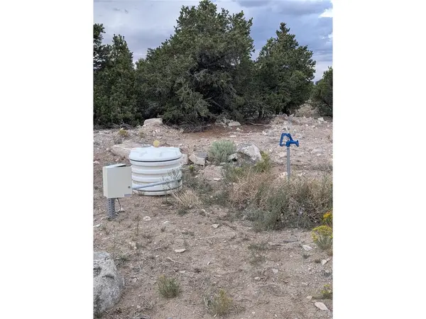 42 Big Buck Trail, San Luis, CO 81152