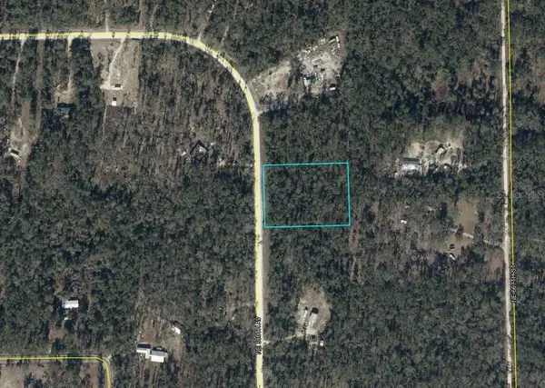 NE 386TH AVE, Old Town, FL 32680