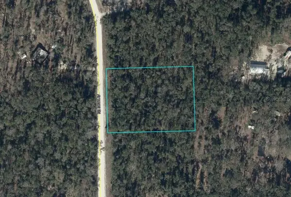 NE 386TH AVE, Old Town, FL 32680