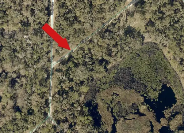 7132 KENYON DR, Webster, FL 33597