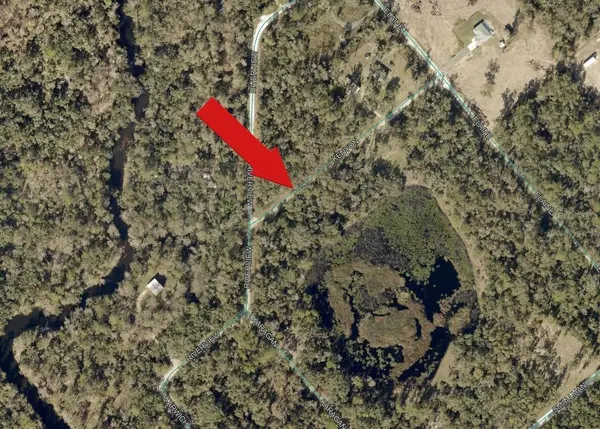 7132 KENYON DR, Webster, FL 33597