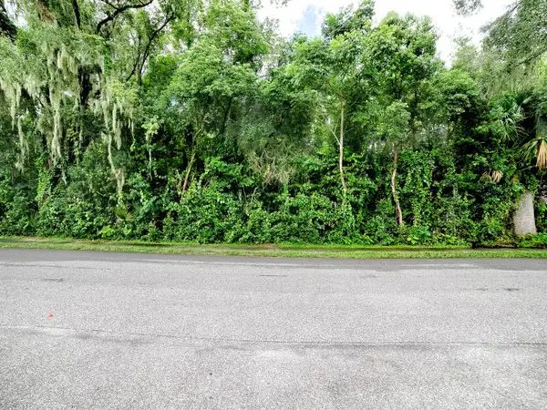 TBD KING AVE, Zellwood, FL 32798