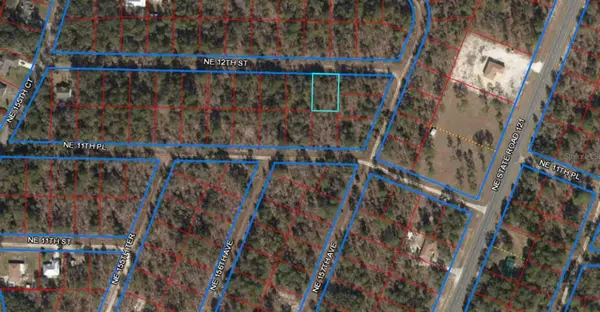 00 NE 12TH ST, Williston, FL 32696