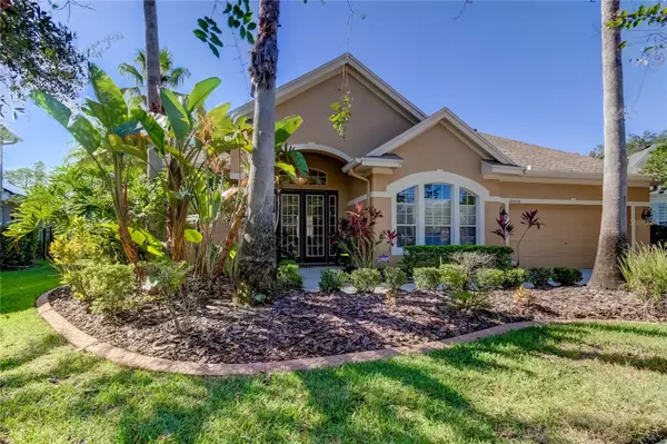 10448 GREENDALE DR, Tampa, FL 33626