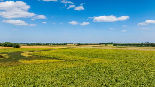 TBD 15 Ave NE Lot 1, Berwick, ND 58788