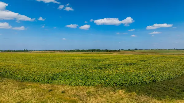TBD 15 Ave NE Lot 1, Berwick, ND 58788