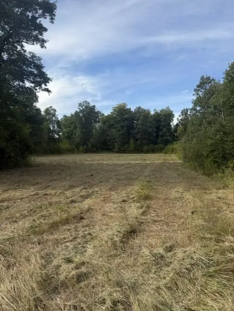 TBD Great River RD, Palisade, MN 56469