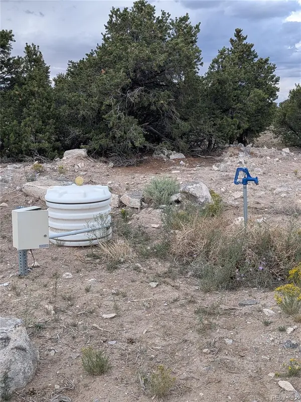 Lot 42 Big Buck Trail, San Luis, CO 81152