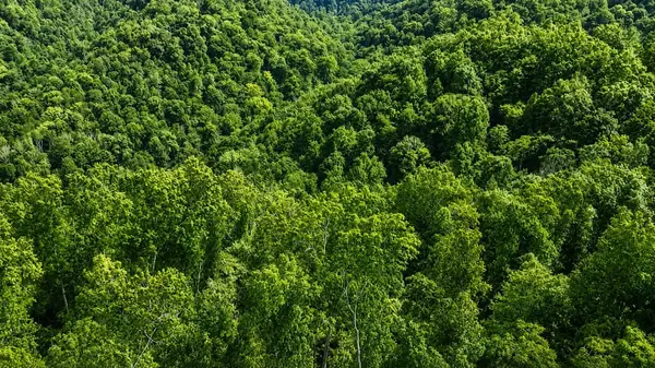 0 S Peninsula Edge Dr, Smithville, TN 37166