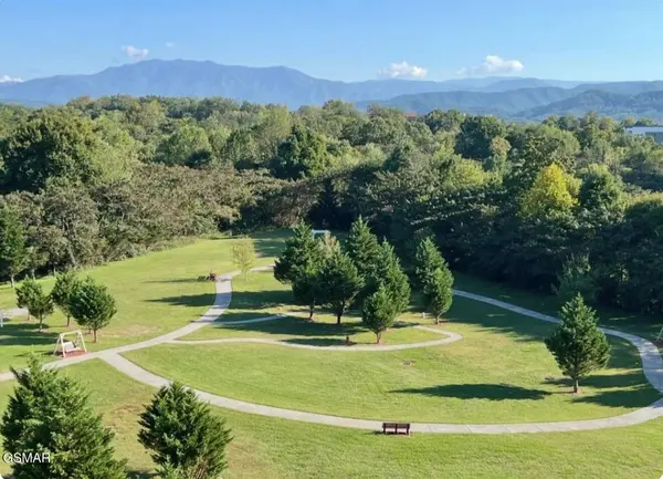124 Plaza #UNIT 3704, Pigeon Forge, TN 37863