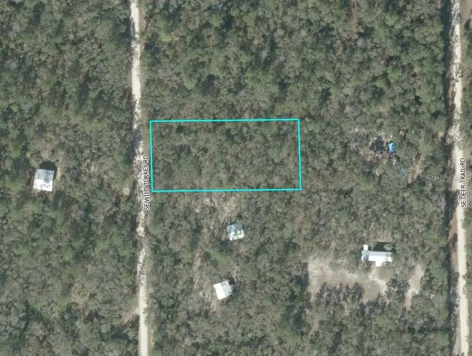 SE WILD TURKEY RD, Branford, FL 32008