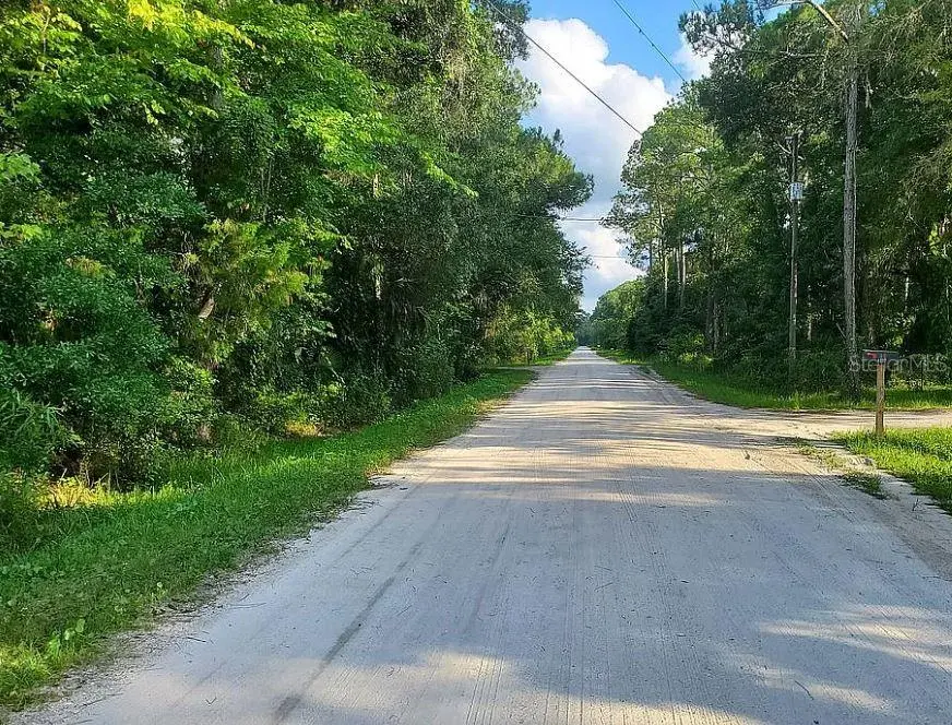 1763 SHERWOOD ST, Bunnell, FL 32110