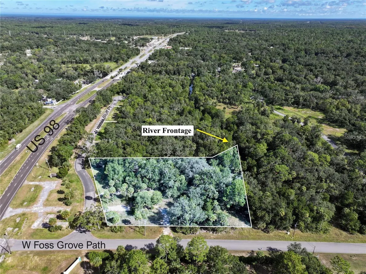 11009 N WITHLA BLUFF PT, Inglis, FL 34449