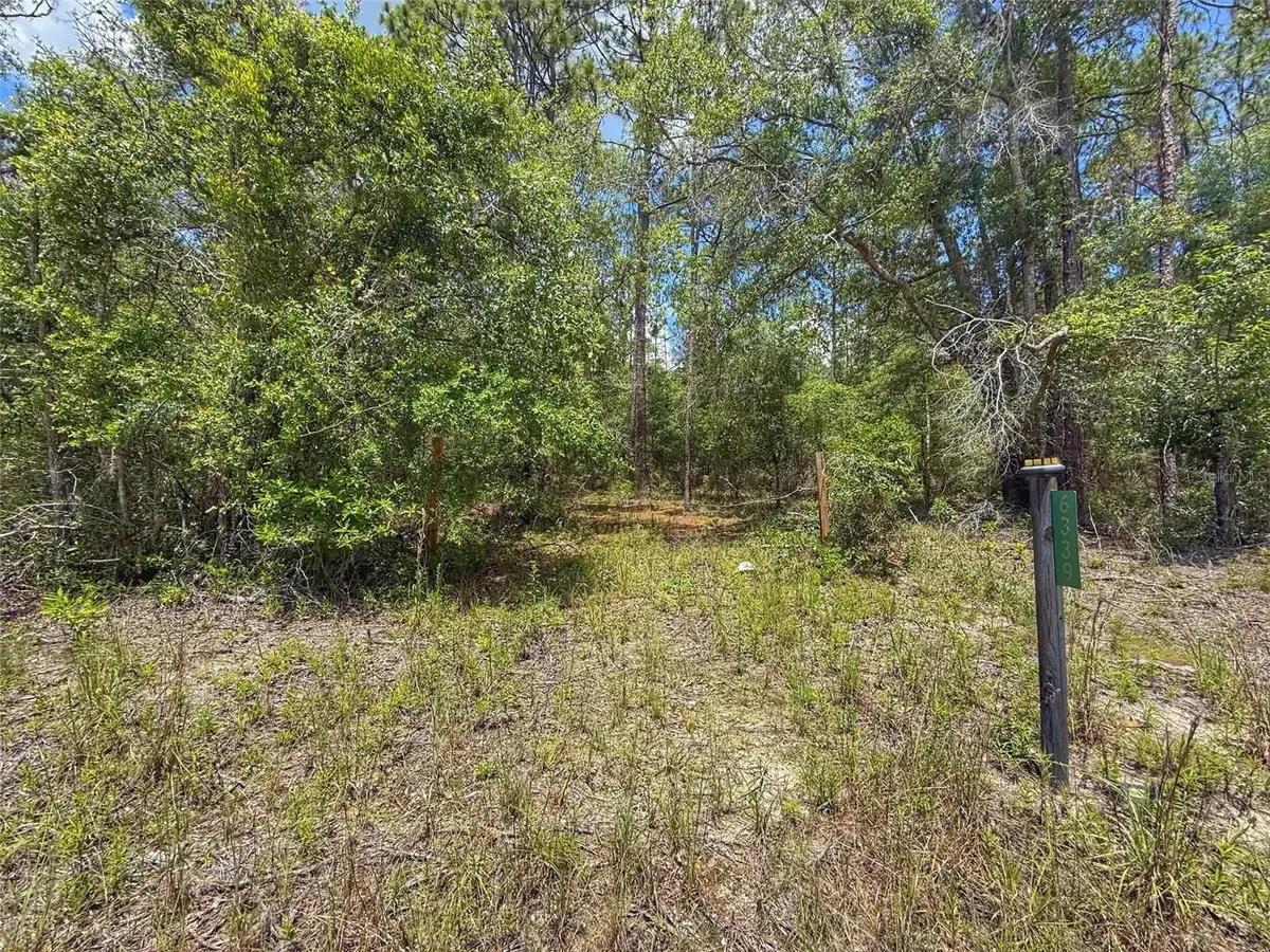 6339 NW 17TH CT, Bell, FL 32619
