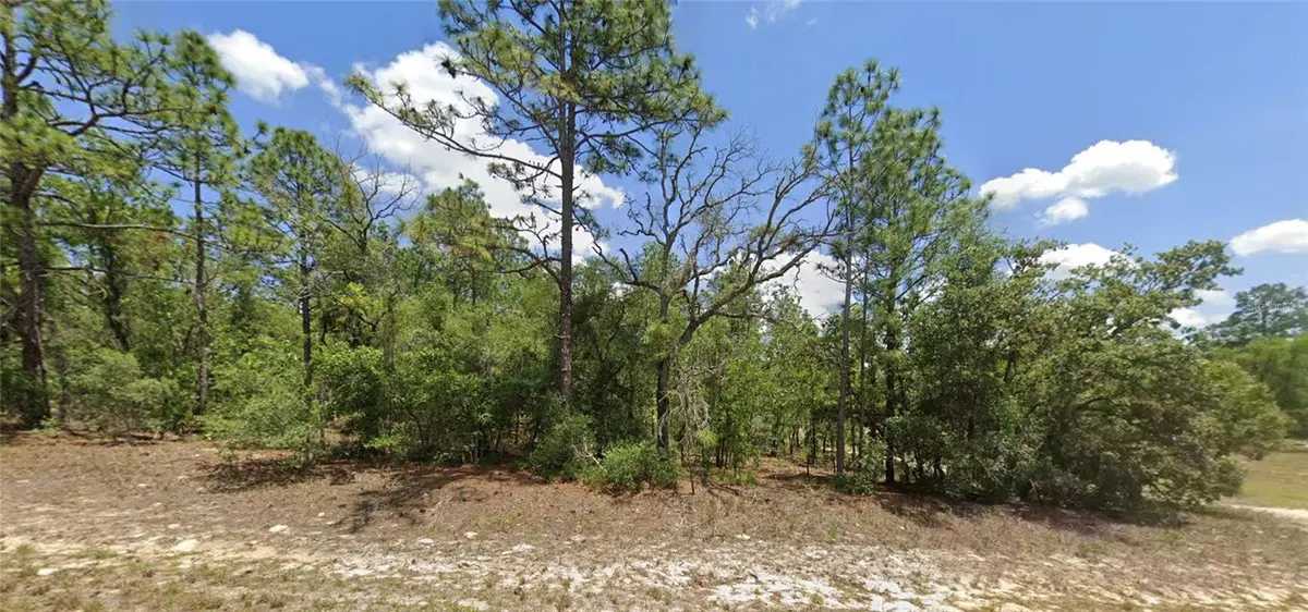 9857 N LATHYRUS TER, Dunnellon, FL 34433