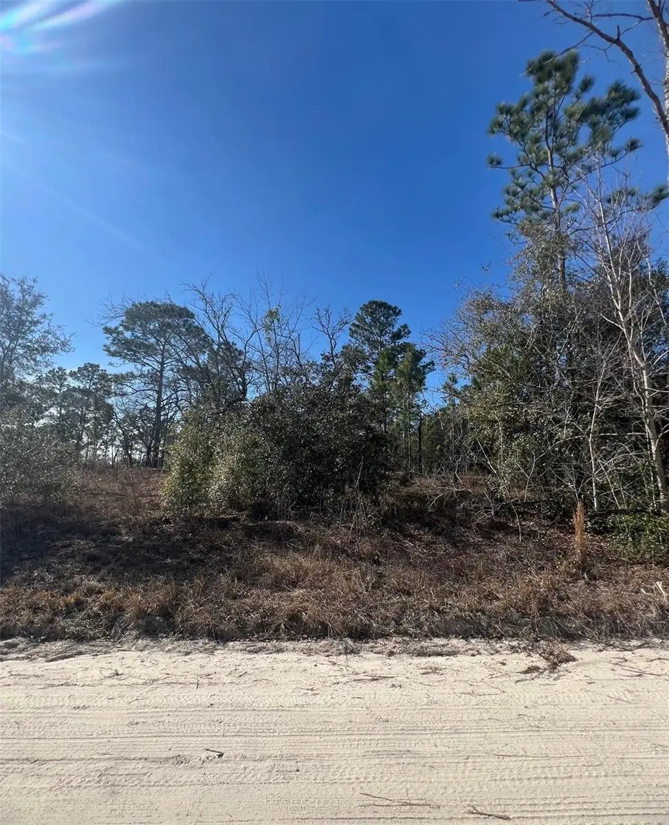TBD SE 186 TER, Morriston, FL 32668