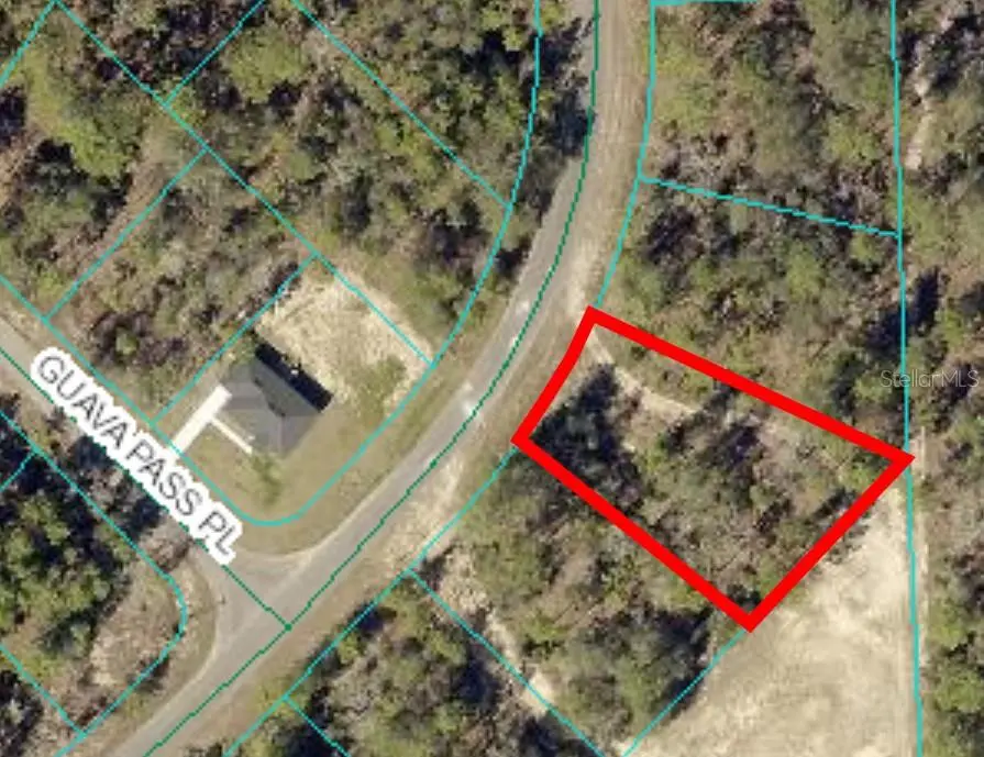 164 GUAVA PASS, Ocklawaha, FL 32179