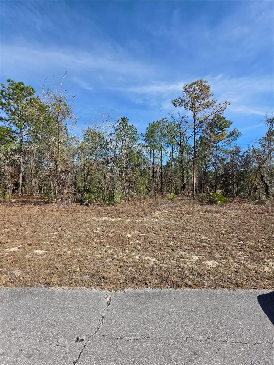 TBD SW 87TH AVENUE, Ocala, FL 34473