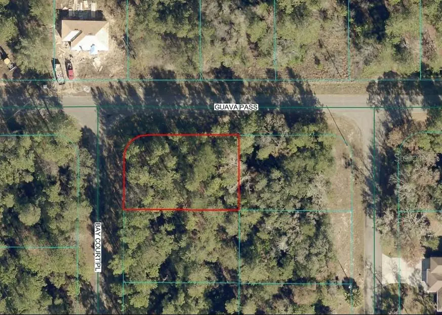 00 GUAVA PASS, Ocklawaha, FL 32179