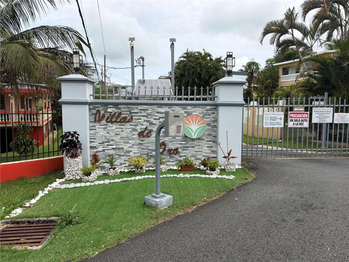 #21 PLATINO ST VILLAS DE ORO DEV., Caguas, PR 00725