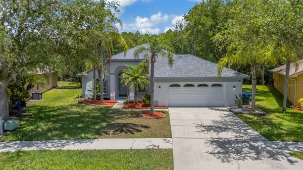 368 TAVERNIER CIR, Oldsmar, FL 34677