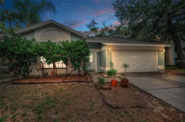 4113 QUAIL BRIAR DR, Valrico, FL 33596