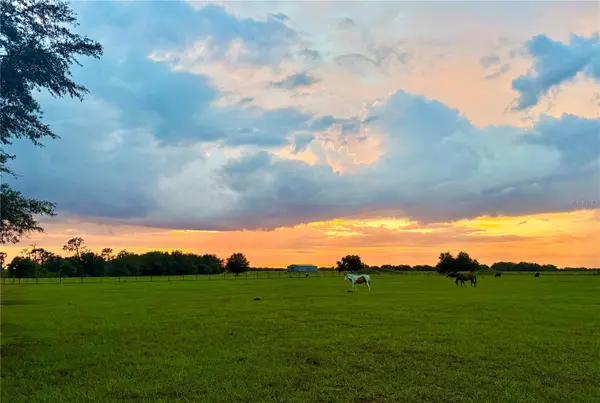 0000 ROBERTS RD, Ona, FL 33865