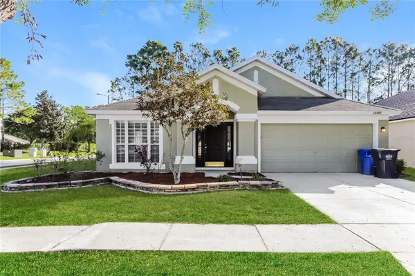 13302 EVENING SUNSET LN, Riverview, FL 33579