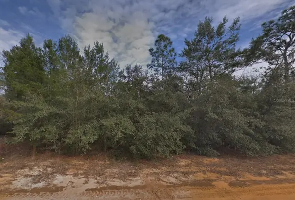 CREAGER AVE, Interlachen, FL 32148