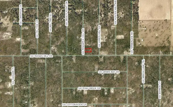 SW PINEAPPLE HILL DR, Dunnellon, FL 34431