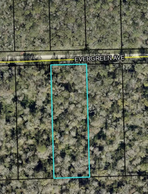 3599 EVERGREEN AVE, Bunnell, FL 32110