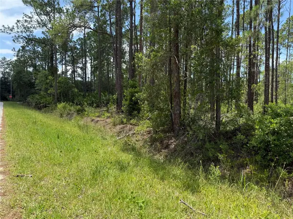 2914 AVOCADO BLVD,  Bunnell,  FL 32110