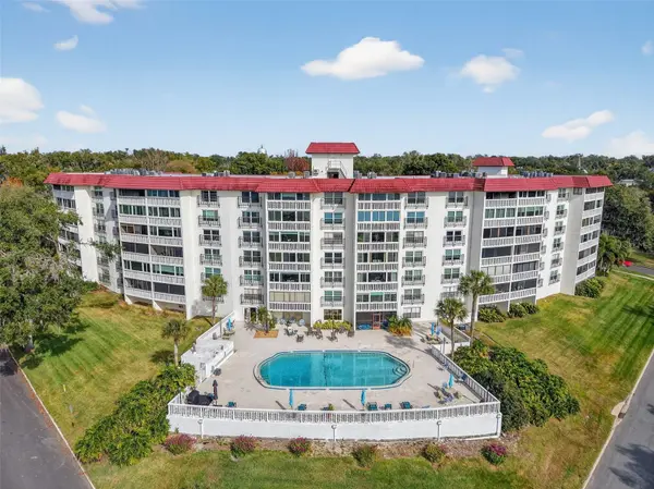 601 N MCDONALD ST #508, Mount Dora, FL 32757