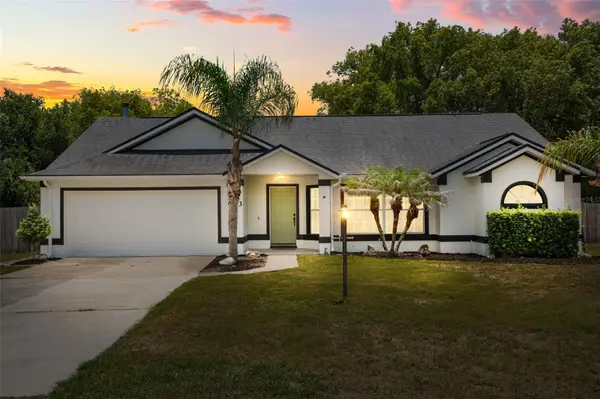 5543 PINE ST, Mount Dora, FL 32757