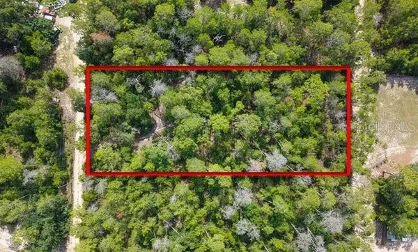 BERRY ST, Paisley, FL 32767