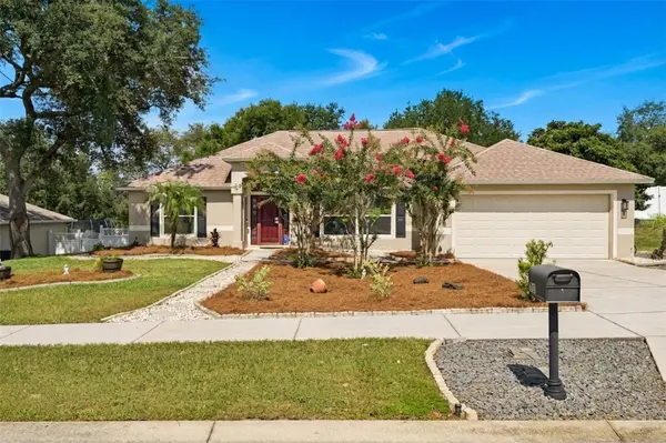 1115 LAKEVIEW OAKS DR, Minneola, FL 34715