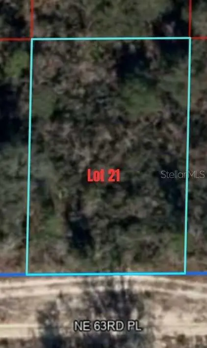 NE 63RD PLACE, Williston, FL 32696