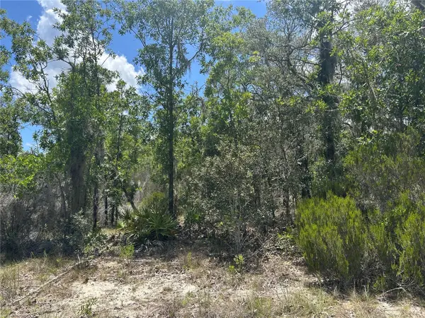 NE 101ST TER, Archer, FL 32618