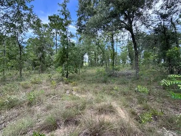 SE 16 LN, Morriston, FL 32668