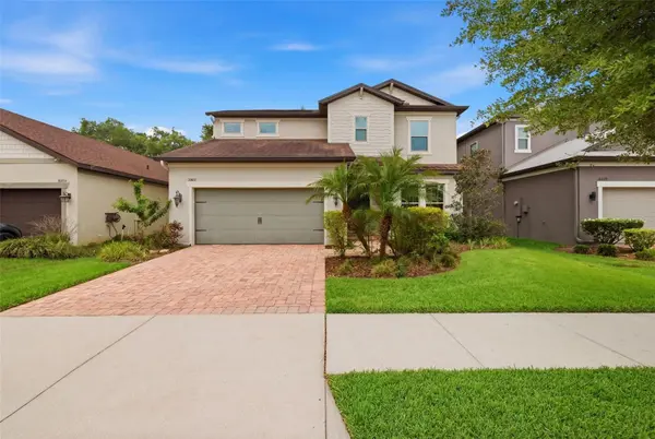 10431 ALCON BLUE DR, Riverview, FL 33578